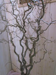 IMG_0003 1.JPG