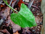 DSC00640.JPG
