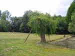 mai 2011
