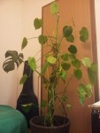 20130211_185410.jpg