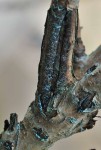 DSC_3115.jpg