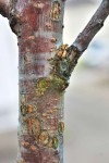 DSC_3113.jpg