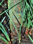 DSC_3108.jpg