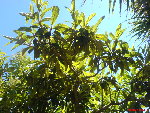 DSC00408.JPG