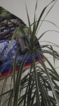 DSCF1104.JPG