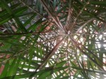 20130217_085134.jpg