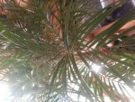 20130217_085124.jpg