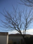 PICT0324_1.JPG