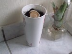 vous aurez deviné l'origine du &quot;verre&quot;