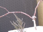 img_6626.jpg