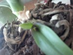 2013-02-25-656.jpg