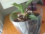 2013-02-25-657.jpg