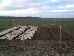 potager 1.JPG