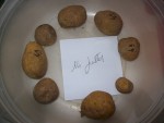 pomme de terre 14 juillet.jpg