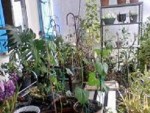 P03-03-13_11.41.jpg
