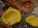 Un avocat &quot;miniature!!!