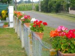 fleurissement 2012 087.JPG