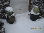 Neige 4X.jpg