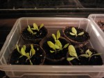 2013-03-11 22.39.32.jpg
