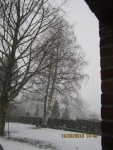 Mon arbre X.jpg