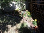 20120729_172109.jpeg