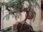 IMG_20130318_200127.jpg