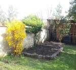 20130331_172147-1-1.jpg