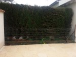 20130401_180637.jpg