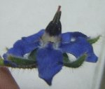 DSCF3168.JPG