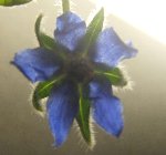 DSCF3171.JPG