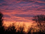 2013-04-11bonsoir X.jpg