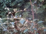 light-DSC00419.jpg