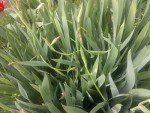 2013-04-20-156.jpg