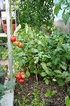 IMG_7844_1.jpg