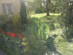 2013-04-20-159.jpg