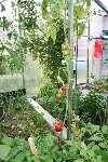 IMG_7847_2.jpg