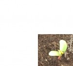 20130420_182250.jpg