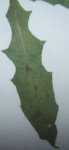 DSCF3181.JPG