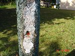 DSC02978.JPG