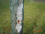 DSC02979.JPG