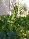2013-04-22 16.23.16.jpg