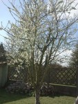 2013-04-24 17.33.56.jpg