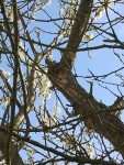 2013-04-24 17.34.57.jpg