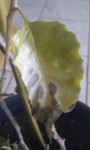 IMAG0230.jpg
