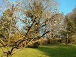 IMG_20130424_192210.jpg