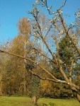 IMG_20130424_192235.jpg
