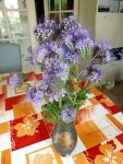 c'est qui cette plante a fleur violette? svp