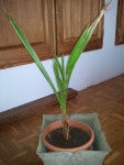 20130428_145906.jpg