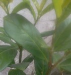 2013-04-28 12.06.50-1.jpg