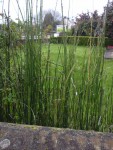 Photo0724.jpg